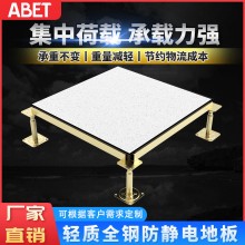 全鋼防靜電地板機房架空凈化車間通風(fēng)地板扛靜電輕質(zhì)地板可定制